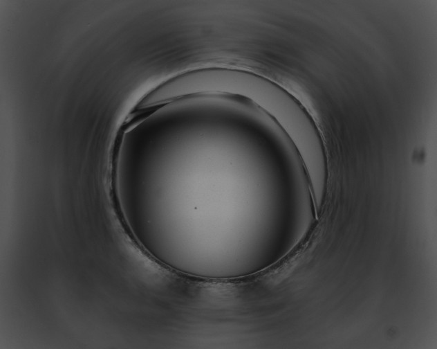 X0000091481136200708301909