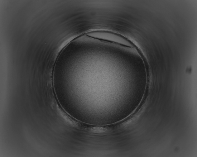 X0000091481137200708301909