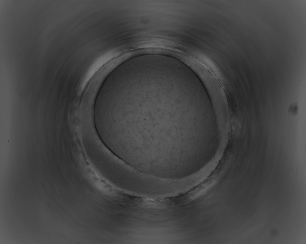 X0000091481138200708301909