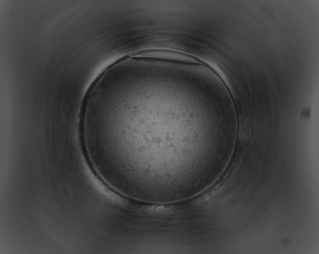 X0000091481139200708301909