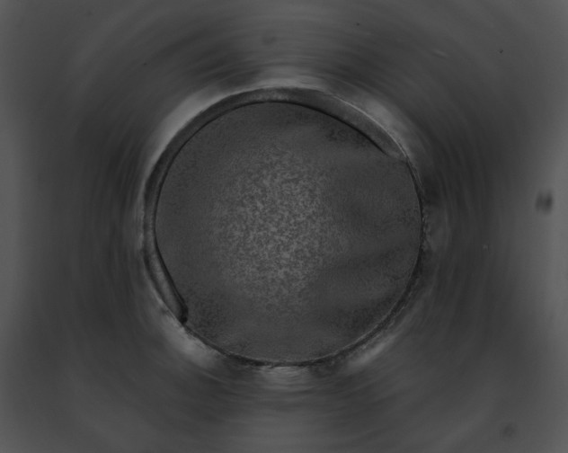 X0000091481140200708301909