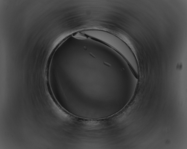 X0000091481141200708301909