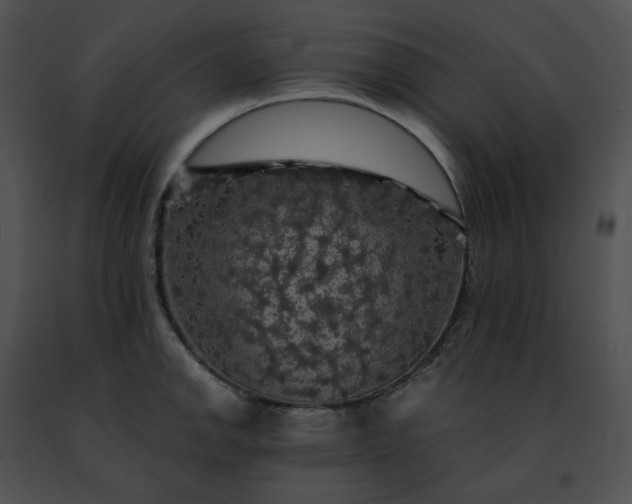 X0000091481142200708301909