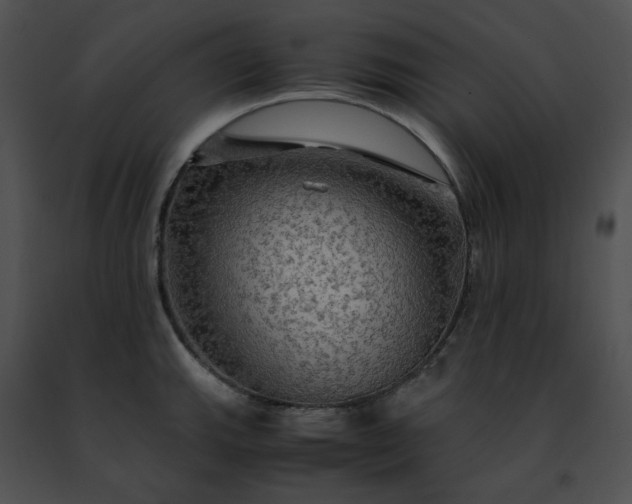 X0000091481143200708301909