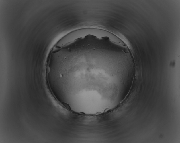 X0000091481144200708301909