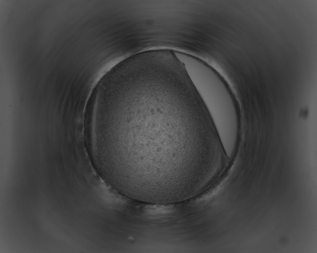 X0000091481145200708301909