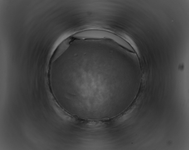 X0000091481146200708301909