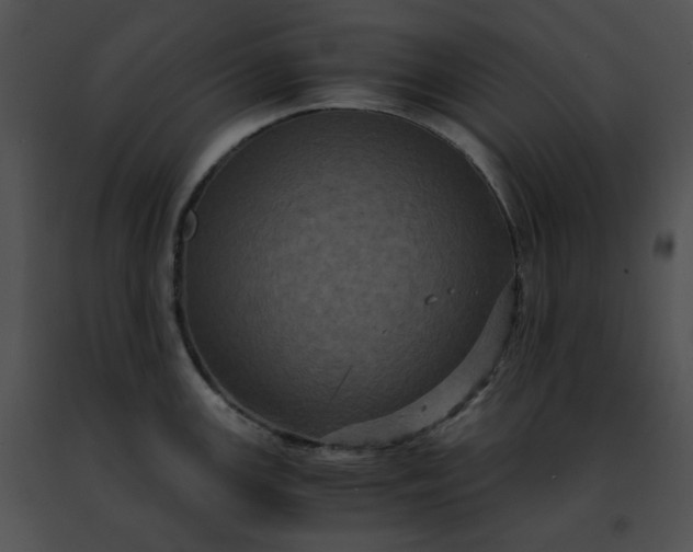 X0000091481147200708301909