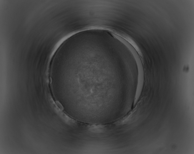 X0000091481148200708301909