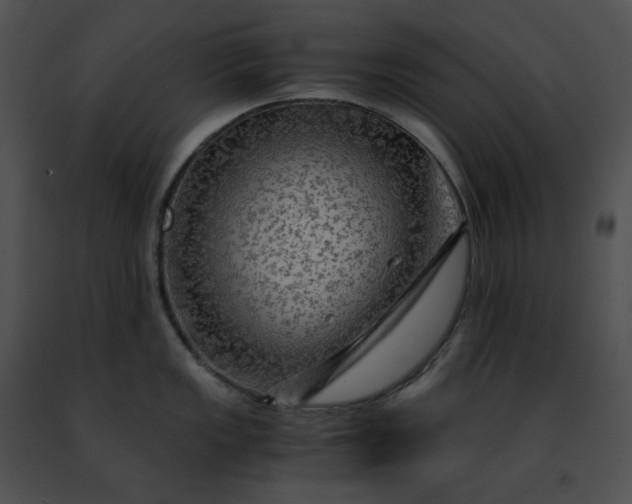 X0000091481149200708301909