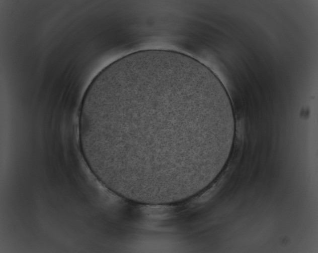 X0000091481150200708301909