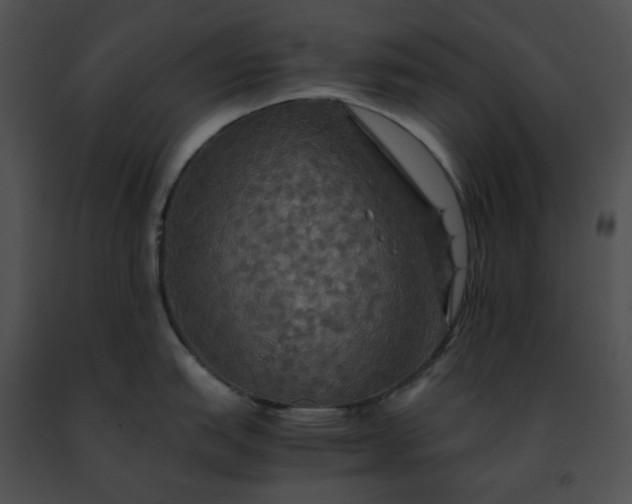 X0000091481151200708301909