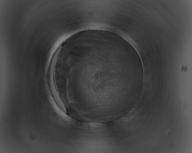 X0000091481152200708301909