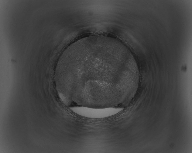 X0000091481153200708301908