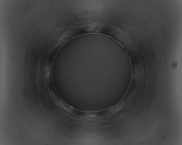 X0000091481154200708301908