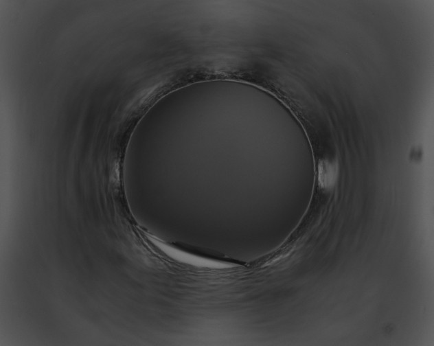 X0000091481155200708301908