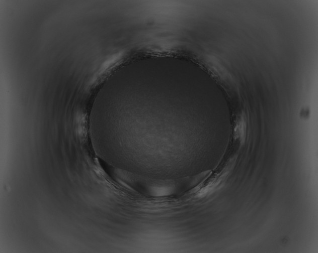 X0000091481156200708301908