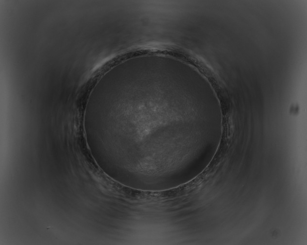 X0000091481158200708301908