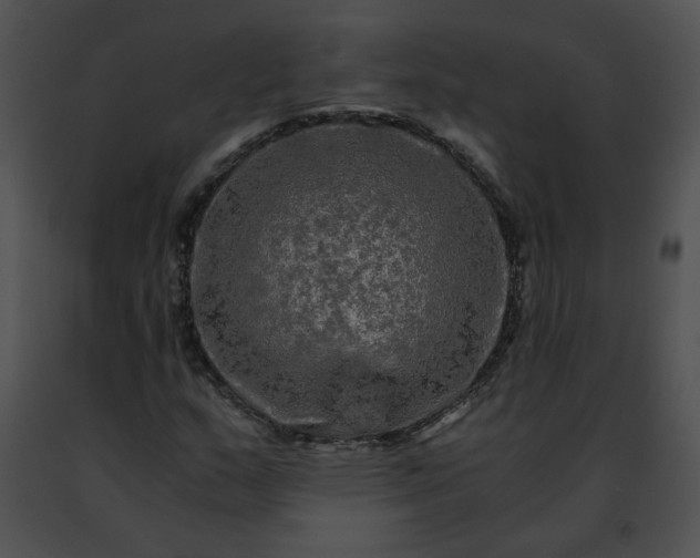 X0000091481159200708301908