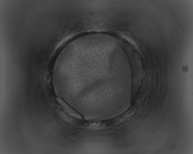 X0000091481160200708301908