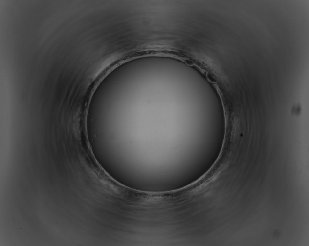 X0000091481162200708301908