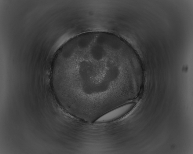 X0000091481163200708301908