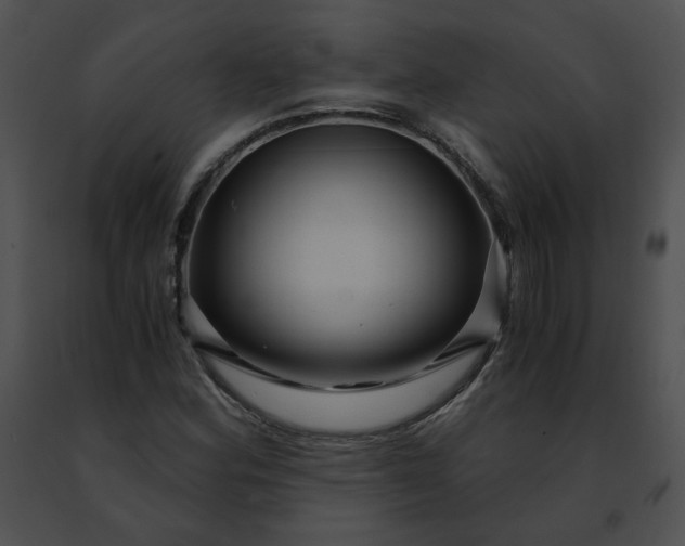 X0000091481164200708301908