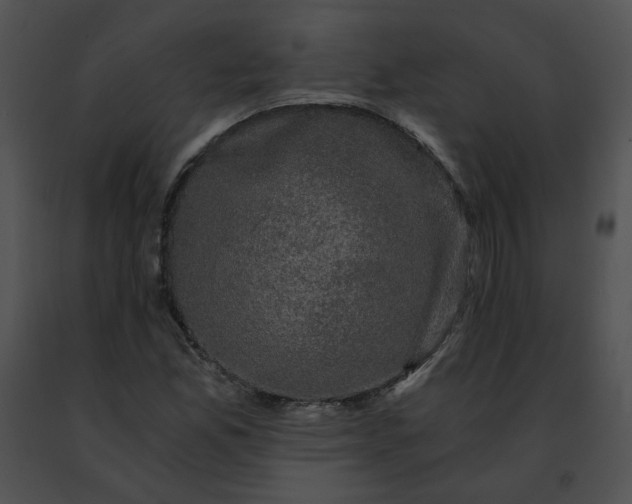 X0000091481165200708301908