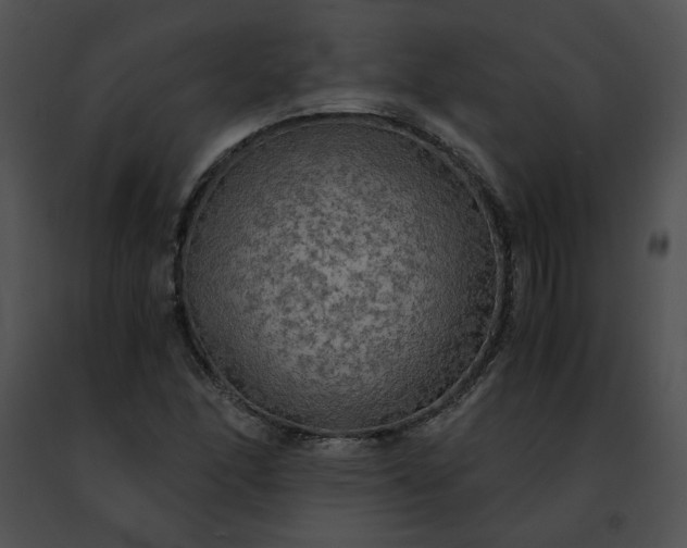 X0000091481166200708301908