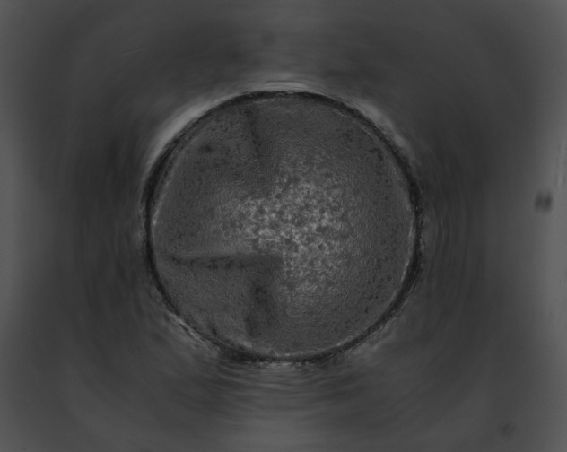 X0000091481167200708301908