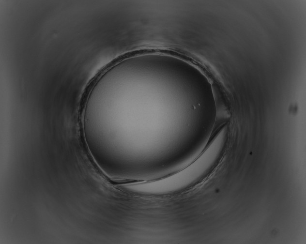 X0000091481168200708301908