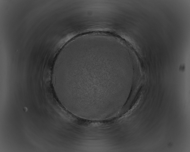 X0000091481169200708301908