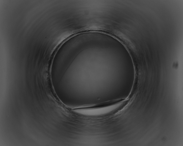 X0000091481170200708301908