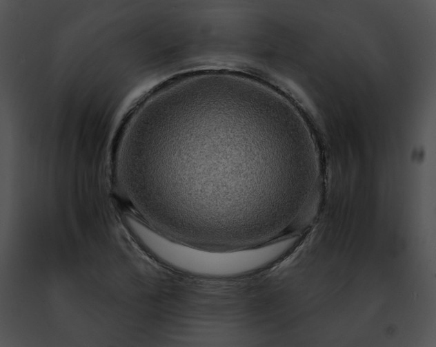 X0000091481172200708301908