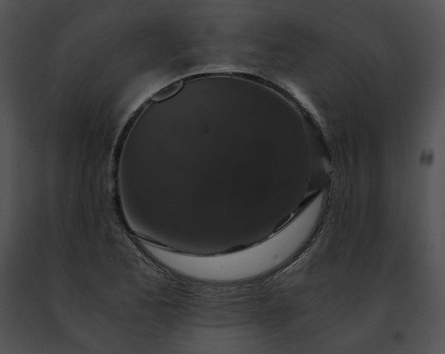 X0000091481173200708301908