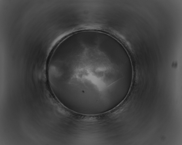 X0000091481174200708301908