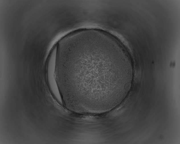 X0000091481175200708301908