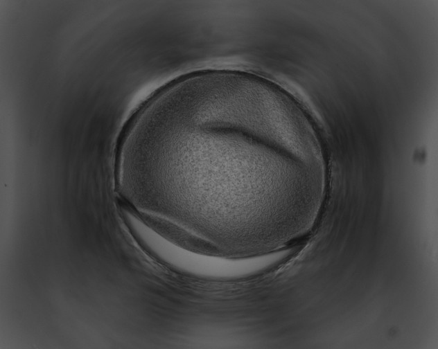 X0000091481176200708301908