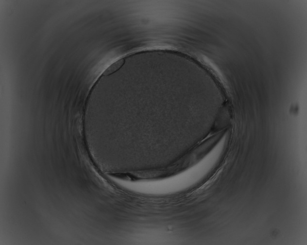 X0000091481177200708301908