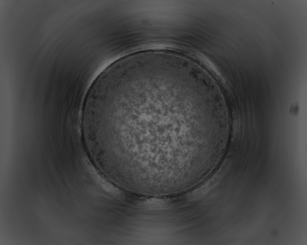 X0000091481178200708301908