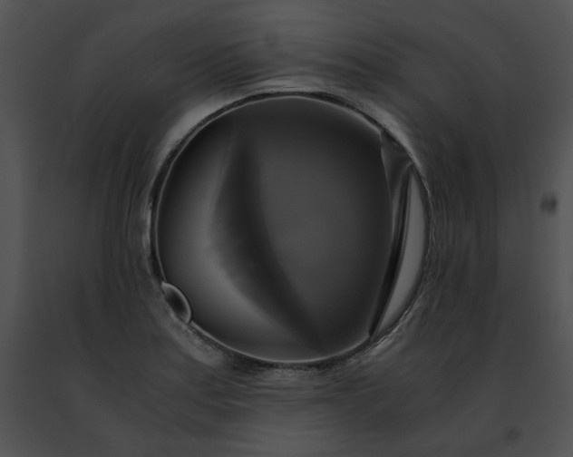 X0000091481179200708301908