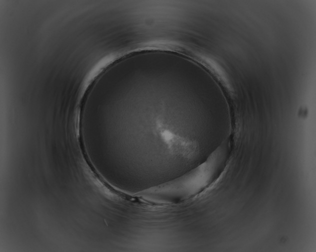 X0000091481180200708301908