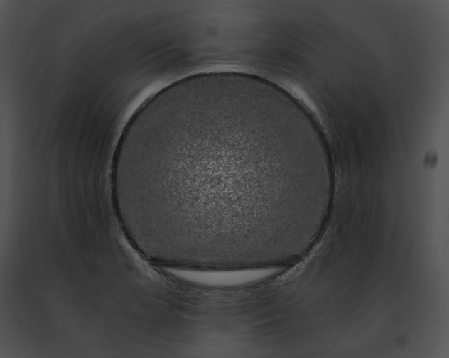 X0000091481181200708301908