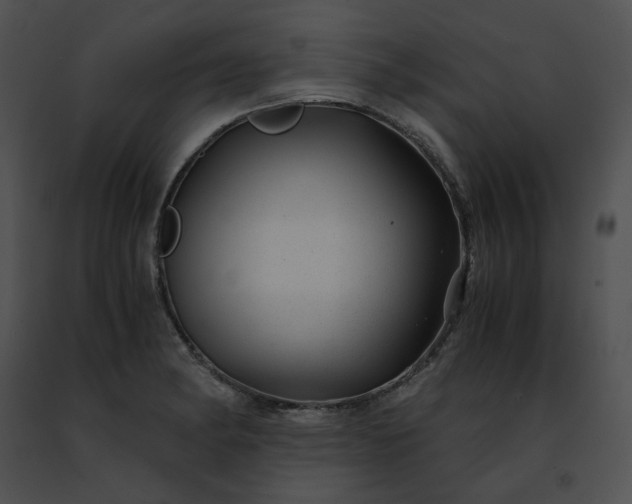 X0000091481182200708301908