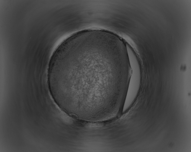 X0000091481183200708301908