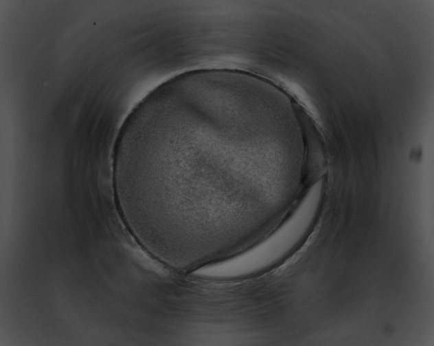 X0000091481184200708301908