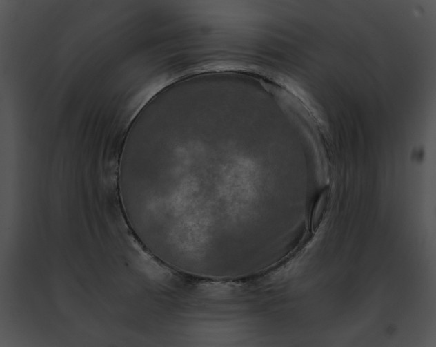 X0000091481185200708301908