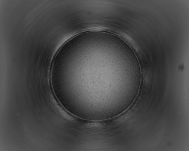 X0000091481186200708301908