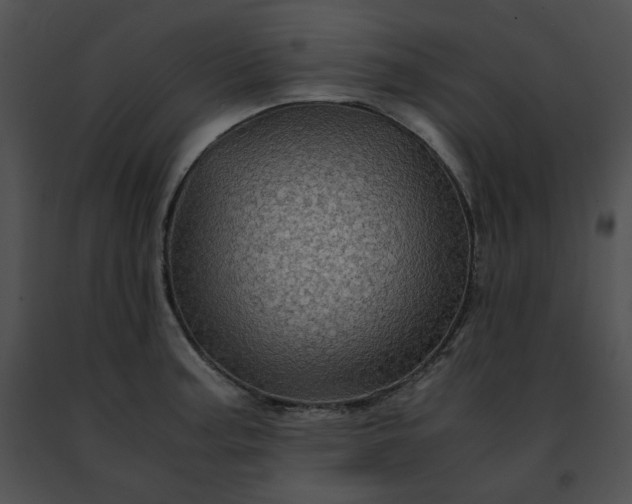 X0000091481187200708301908