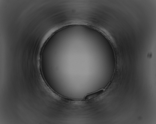 X0000091481188200708301908